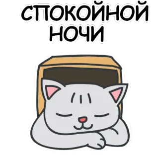 🐱 81dd086f СПОКОЙНОЙ НОЧИ 고양이, 자는, 잘자요, 러시아, 새끼 고양이, 상자, 귀여운, 스티커 telegram sticker