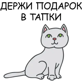 Cats Day @stickersb2b whatsapp stickers