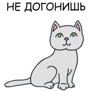 😊 a28dec51 НЕ ДОГОНИШЬ 고양이, 러시아어, 새끼 고양이, 귀여운, 동물, 스티커 telegram sticker