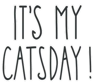 🐱 a7db2d43 IT'S MY CATSDAY! 고양이, 고양이들, 애완동물, 동물, 웃긴, 유머 telegram sticker