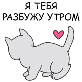 😃 ca7568ff Я ТЕБЯ РАЗБУЖУ УТРОМ 고양이, 귀여운, 하트, 아침, 기상, 만화 telegram sticker