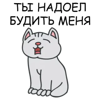 🧐 cd1f836a ТЫ НАДОЕЛ БУДИТЬ МЕНЯ 고양이, 스티커, 러시아어, 짜증, 졸린 telegram sticker