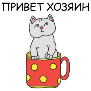 🐱 e20b8256 ПРИВЕТ, ХОЗЯИН 고양이, 머그컵, 인사말, 러시아어, 귀여운, 스티커, 애완 동물 telegram sticker