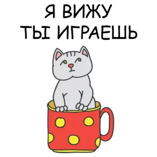 😆 e6587f8d Я вижу, ты играешь 고양이, 컵, 애완 동물, 동물, 귀여운, 웃긴, 노는 telegram sticker