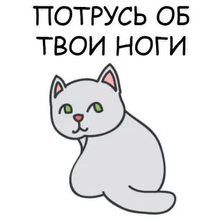 😆 e8fdb264 ПОТРУСЬ ОБ ТВОИ НОГИ 고양이, 러시아어, 스티커 telegram sticker