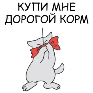 😆 fa803e56 КУПИ МНЕ ДОРОГОЙ КОРМ 고양이, 리본, 러시아어, 스티커, 동물 telegram sticker