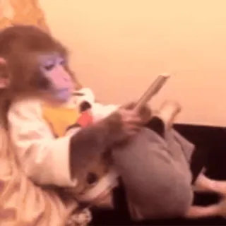 🤳 74765439 macaco, lendo, animal, primate, livro, fofo whatsapp sticker