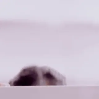 🔍 86a1ec1a whatsapp sticker