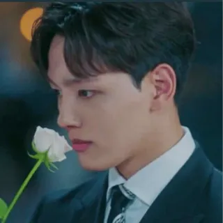 ✨️ 3cc96a81 mann, blume, rose, porträt, anzug whatsapp sticker