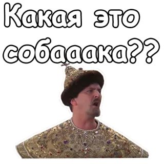 😡 a4279e13 Какая это собааака?? 俄语, 贴纸, 角色, 问题, 狗, 搞笑, 表情 telegram sticker