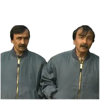 🙈 cc9dd1fc telegram sticker