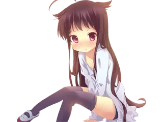 😿 be2a4216 telegram sticker