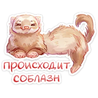 ⭐ 84caf917 ПРОИСХОДИТ СОБЛАЗН furão, animal, fofo, tentação, texto telegram sticker