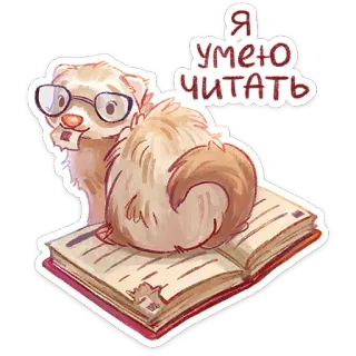 ⭐ b65b16b9 Я умею читать furão, leitura, livro, óculos, fofo, animal, desenho animado telegram sticker