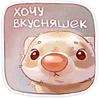 ⭐ eba91446 хочу вкусняшек furão, fofo, animal, adesivo, desenho animado telegram sticker
