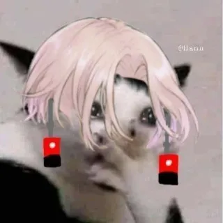 ☺ 9e2190c5 gato, meme, divertido, animal, lindo, arte digital telegram sticker