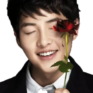 🌹 8a5adbd9 man, rose, flower, smile, happy, portrait telegram sticker