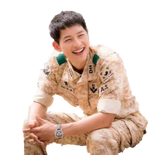 😁 a3b5d663 soldier, military, uniform, army, man, person, smile telegram sticker