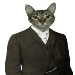 👨‍⚖️ 273f7558 chat, animal, costume, formel, anthropomorphe, animal de compagnie, mème telegram sticker
