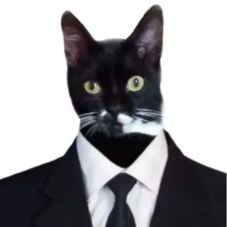 👨‍⚖️ 8de9f707 chat, costume, smoking, animal, animal de compagnie, tenue de cérémonie telegram sticker