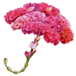 Jacq " the poet" telegram stickers