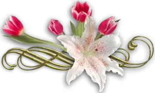 Jacq " the poet" telegram stickers