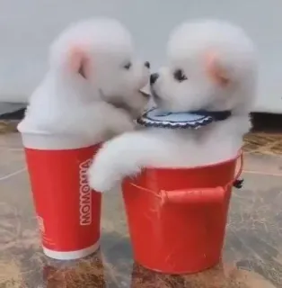 Jacq " the poet" telegram stickers