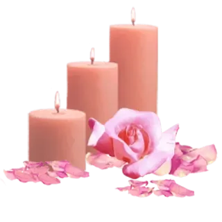 🌹 ba341b2f 양초, 장미, 로맨스, 꽃, 분홍색, 휴식, 스파, 홈데코 telegram sticker