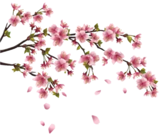 Jacq " the poet" whatsapp stickers