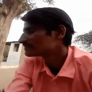 🌹 048ae017 telegram sticker