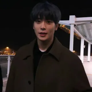 🎮 2fa09afd persona, hombre, hombre, abrigo, retrato, aeropuerto telegram sticker