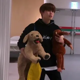 🌸 dd60cb06 persona, peluche, perro, mono, interior telegram sticker