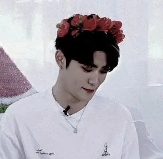 🎥 076d5375 telegram sticker