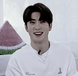 🎥 0fd8f8b3 Handful with endless joy! person, smile, happy, Korean, man, boy telegram sticker