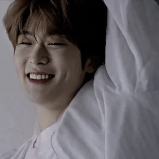 🎥 86544db1 telegram sticker