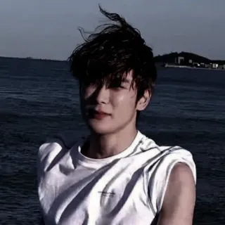 🎥 c3293448 telegram sticker