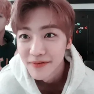 🍃 ed97e24c telegram sticker