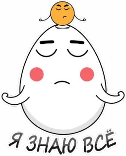 😌 33ff6ace Я ЗНАЮ ВСЁ ovo, desenho animado, saber, Zen, meditação telegram sticker