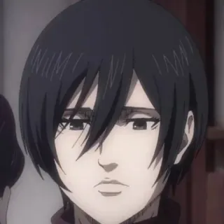 😊 b7fa0d42 Mikasa Ackerman Attack on Titan Anime, Nhân vật, Phụ nữ, Mikasa Ackerman, Attack on Titan telegram sticker
