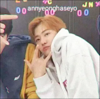 🦋 ae81d15b annyeonghaseyo saluto, coreano, persona, felpa con cappuccio telegram sticker