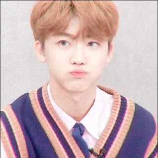 🦋 d1d721f1 telegram sticker