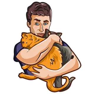 💖 220b464d người đàn ông, người, mèo, động vật, thú cưng, ôm, phim hoạt hình telegram sticker