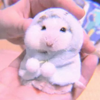 🍣 d6949103 仓鼠, 可爱, 动物, 宠物, 小型, 啮齿动物 whatsapp sticker