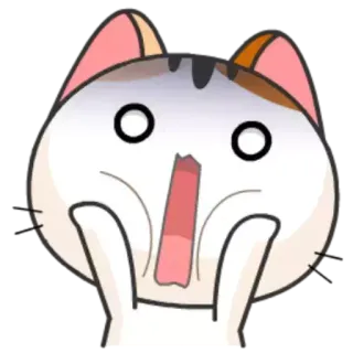 😱 ed500d8d chat, choqué, surpris, animal, mignon, dessin animé telegram sticker