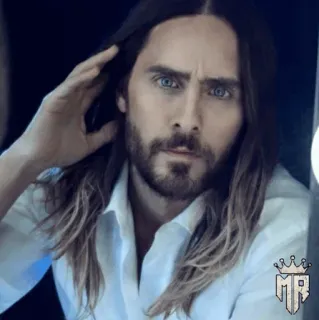 ⚜️ 3b4ee98b Jared Leto uomo, attore, celebrità, ritratto, Jared Leto, capelli, bello telegram sticker