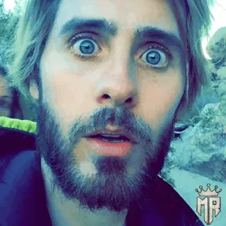 ⚜️ d951344a telegram sticker