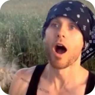 😮 3c3b4169 telegram sticker