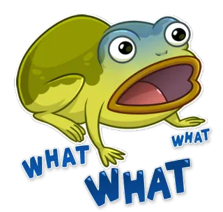 😨 ad0f541f WHAT WHAT กบ, มีม, ประหลาดใจ, ตกใจ, อะไร whatsapp sticker