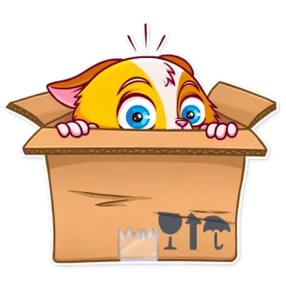📦 33939ad7 gato, caixa, fofo, desenho animado, adesivo, animal telegram sticker