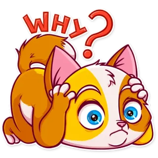 🙆 8bae3375 WHY? gato, pergunta, confuso, animal, pensando, por que telegram sticker